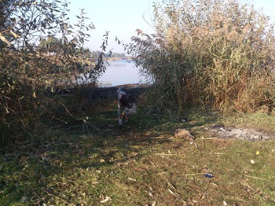 DSC_0381 м.jpg (212.98 КБ) Просмотров: 17699 DSC_0381 м.jpg