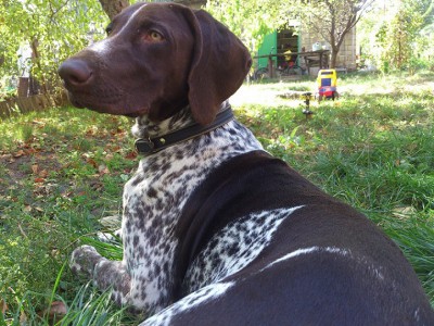 DSC_0233 м.jpg (240.62 КБ) Просмотров: 16959 DSC_0233 м.jpg