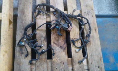 IMG_0264.JPG (195.01 КБ) Просмотров: 861 IMG_0264.JPG