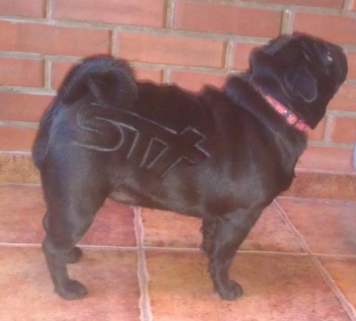 IMAG0558_2.jpg (76.48 КБ) Просмотров: 6156 IMAG0558_2.jpg