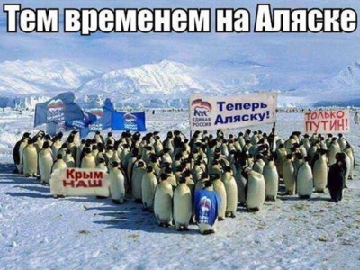 Pu_0006.jpg (57.1 КБ) Просмотров: 4317 Pu_0006.jpg