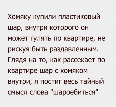 хомяк.jpg (60.57 КБ) Просмотров: 5526 хомяк.jpg